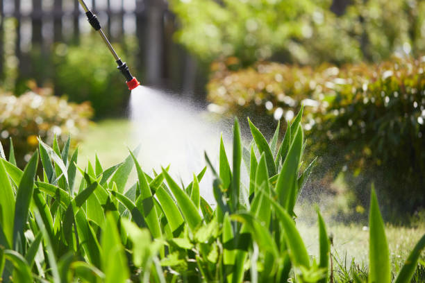 24/7 Emergency Mosquito Control experts in North Wantagh, NY